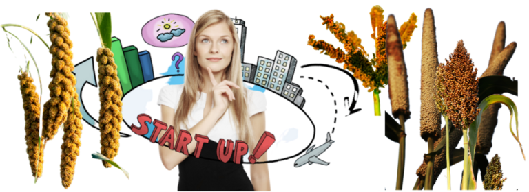 Entrepreneurship Opportunities in Millets